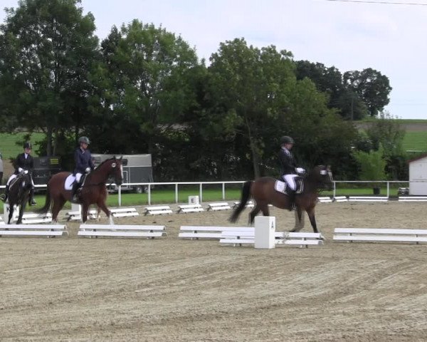 Reitturnier Menden 2017