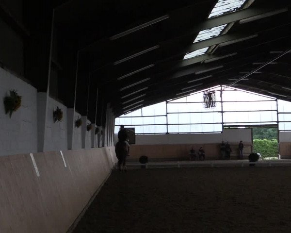 Reitturnier Datteln 2017