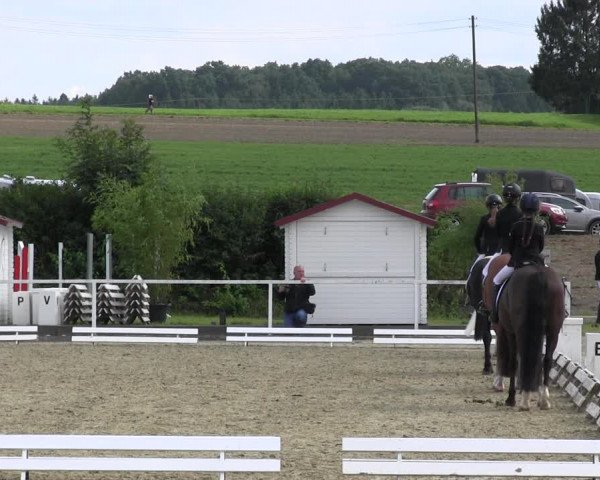 Reitturnier Menden 2017