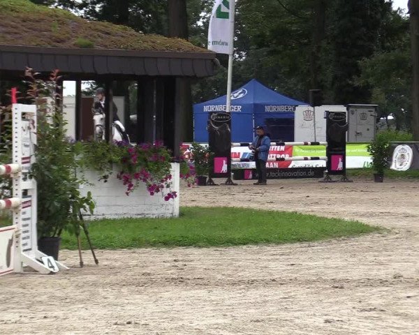 Reitturnier Datteln 2017