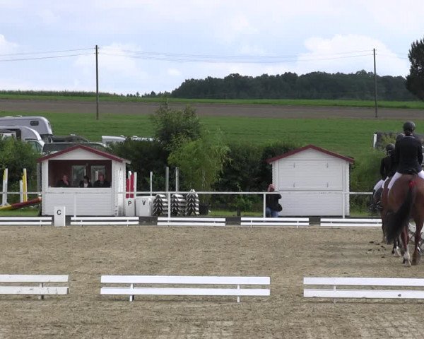 Reitturnier Menden 2017