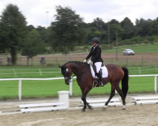 Reitturnier Menden 2017