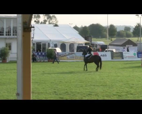 Reitturnier Mühlengeez 2017
