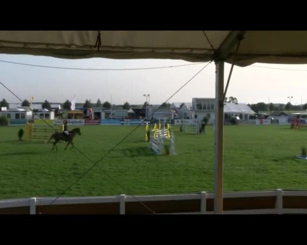 Reitturnier Mühlengeez 2017