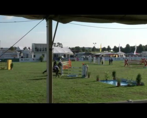 Reitturnier Mühlengeez 2017
