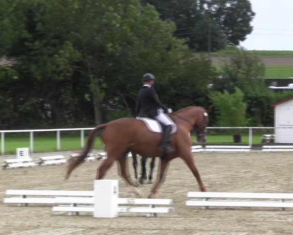 Reitturnier Menden 2017
