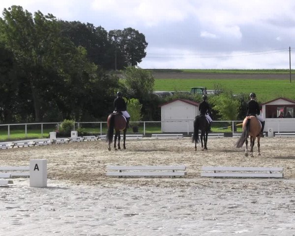 Reitturnier Menden 2017