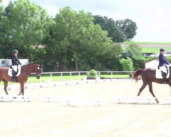 Reitturnier Menden 2017