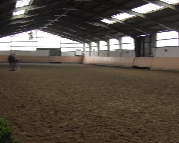 Reitturnier Datteln 2017