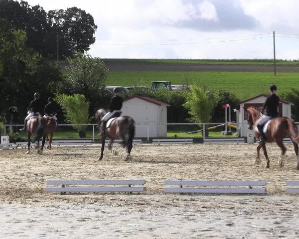 Reitturnier Menden 2017