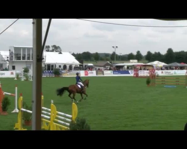 Reitturnier Mühlengeez 2017