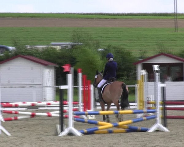 Reitturnier Menden 2017