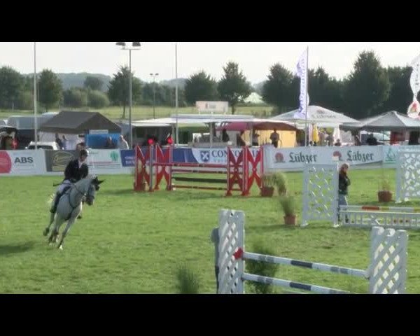 Reitturnier Mühlengeez 2017