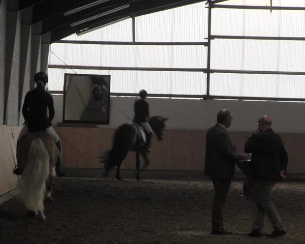 Reitturnier Datteln 2017