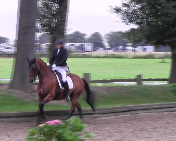 Reitturnier Datteln 2017