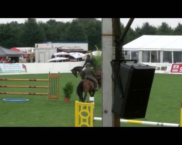 Reitturnier Mühlengeez 2017