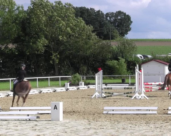 Reitturnier Menden 2017