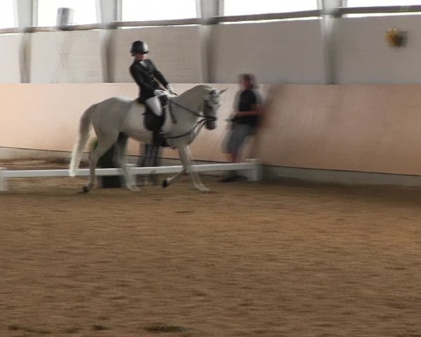 Reitturnier Datteln 2017