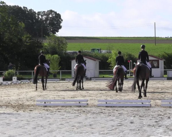 Reitturnier Menden 2017