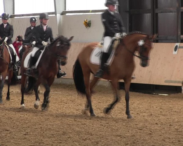 Reitturnier Datteln 2017