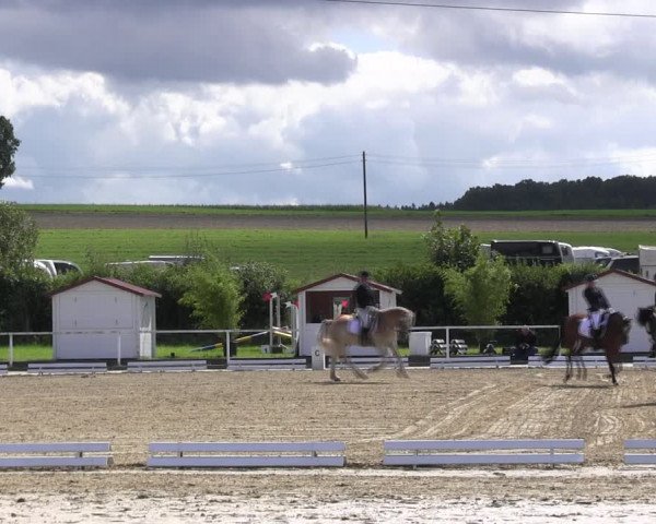 Reitturnier Menden 2017
