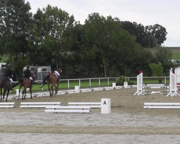 Reitturnier Menden 2017