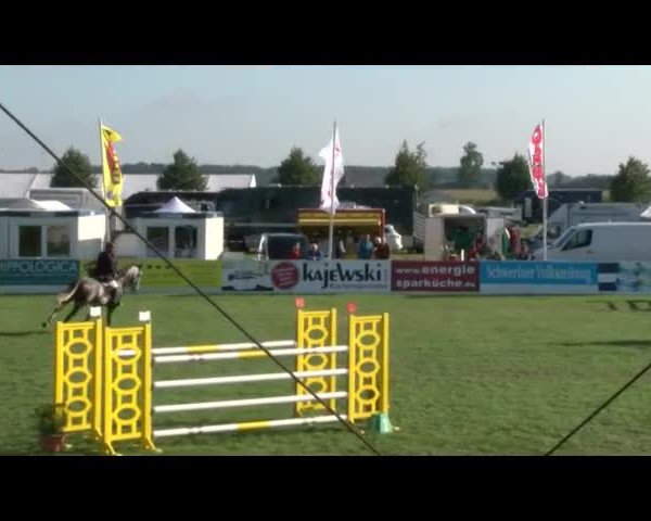 Reitturnier Mühlengeez 2017
