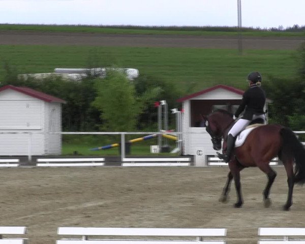 Reitturnier Menden 2017
