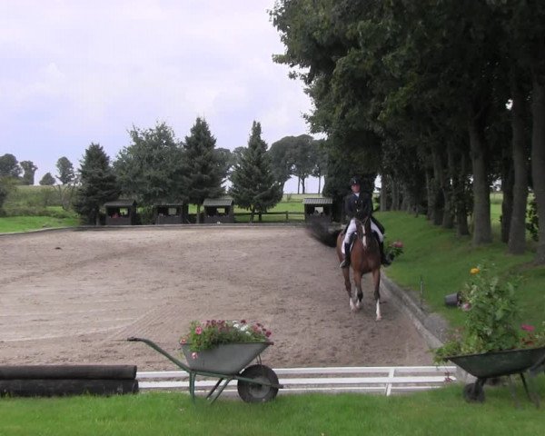 Reitturnier Datteln 2017