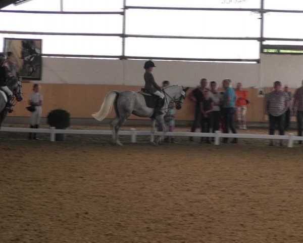 Reitturnier Datteln 2017