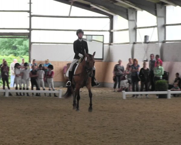 Reitturnier Datteln 2017