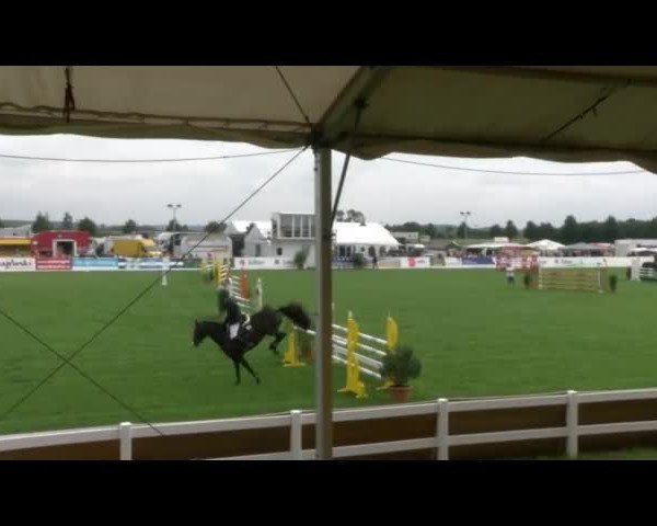 Reitturnier Mühlengeez 2017