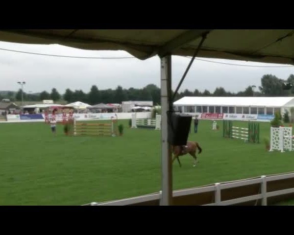 Reitturnier Mühlengeez 2017