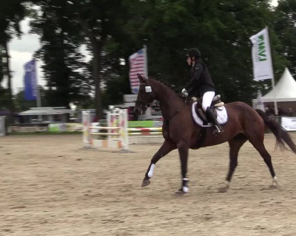 Reitturnier Datteln 2017