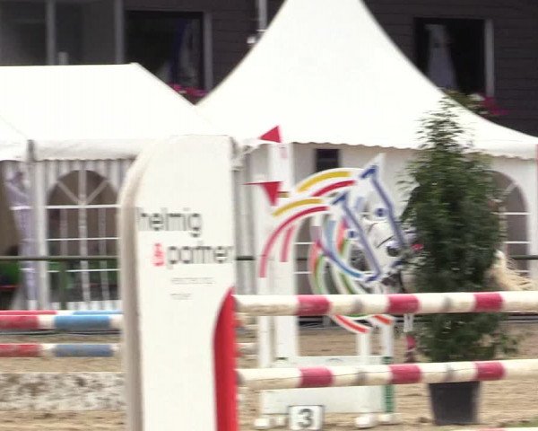 Reitturnier Datteln 2017