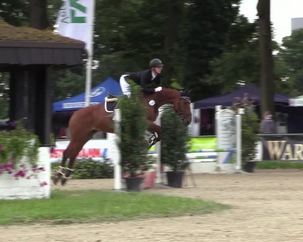 Reitturnier Datteln 2017