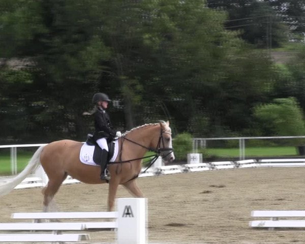 Reitturnier Menden 2017