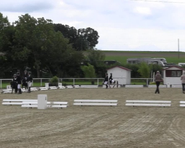 Reitturnier Menden 2017