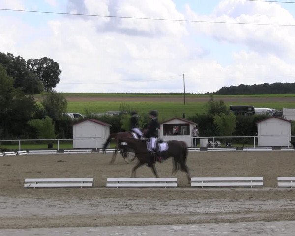 Reitturnier Menden 2017