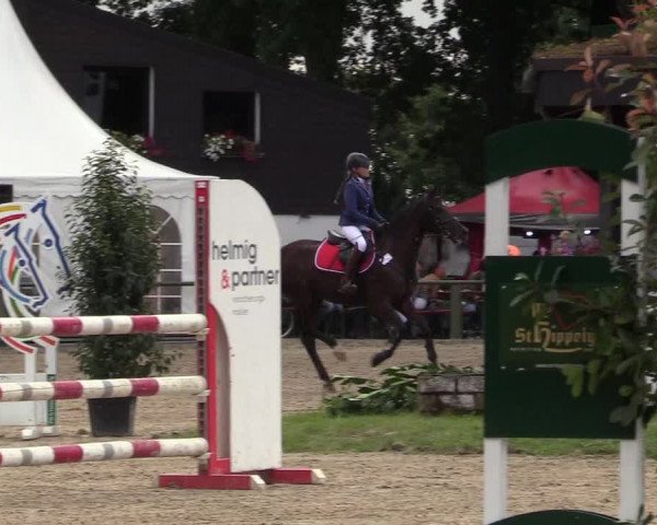 Reitturnier Datteln 2017