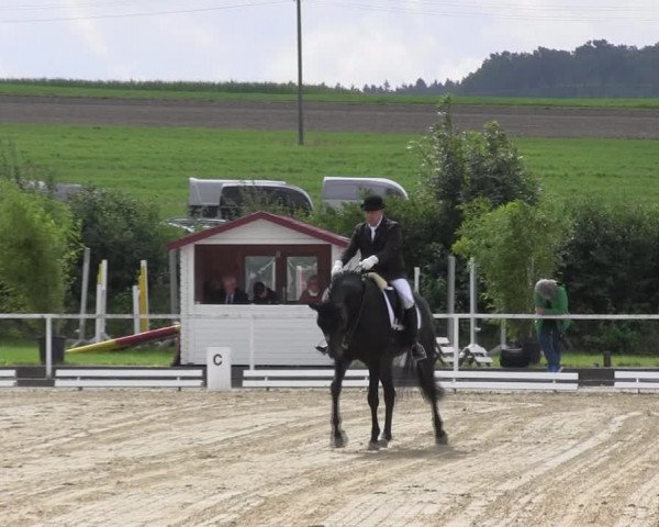 Reitturnier Menden 2017