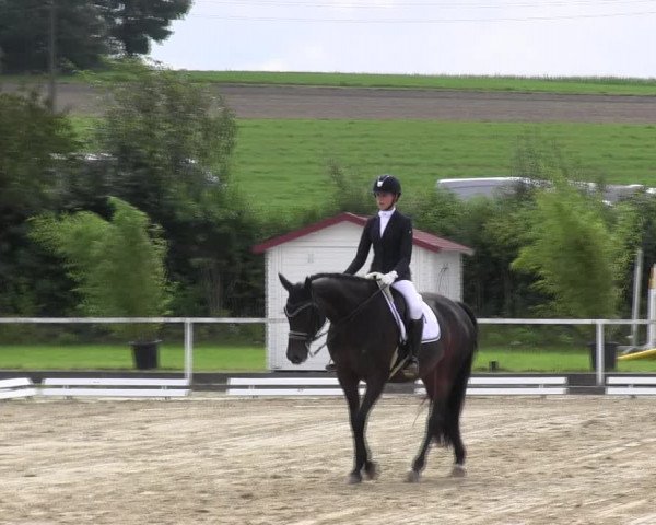 Reitturnier Menden 2017