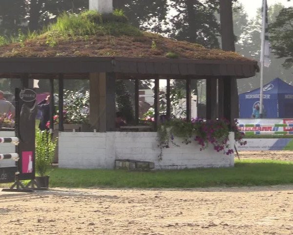 Reitturnier Datteln 2017
