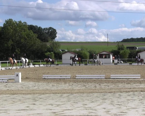 Reitturnier Menden 2017