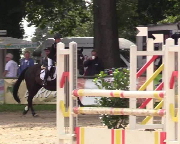 Reitturnier Datteln 2017