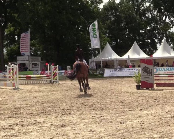 Reitturnier Datteln 2017