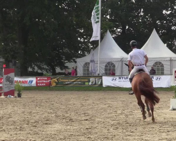 Reitturnier Datteln 2017