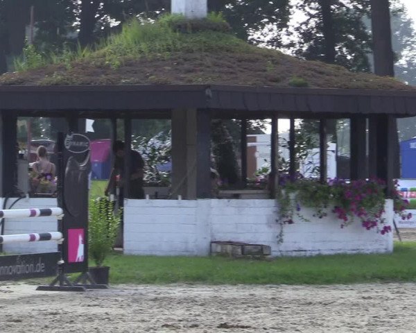 Reitturnier Datteln 2017