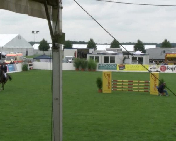 Reitturnier Mühlengeez 2017