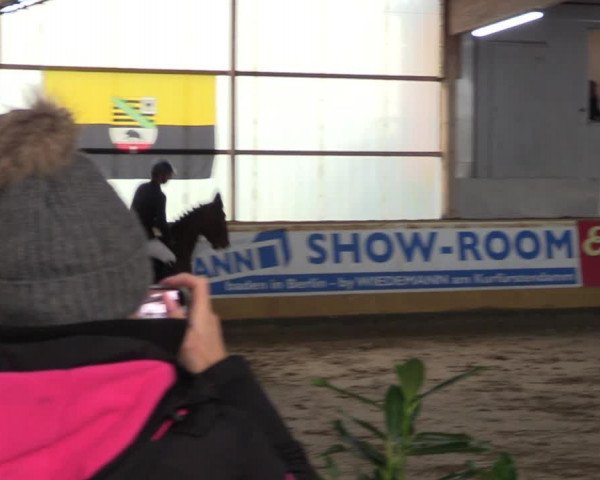 Große Jumping-Trophy Pausin 2021